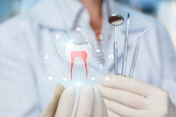 Best Traditional Braces  in Wilsonville, OR